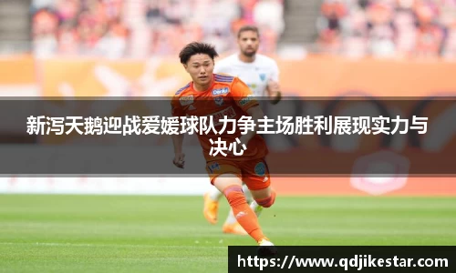 OB视讯平台